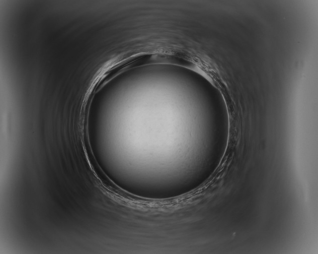 X0000085820003200703231408