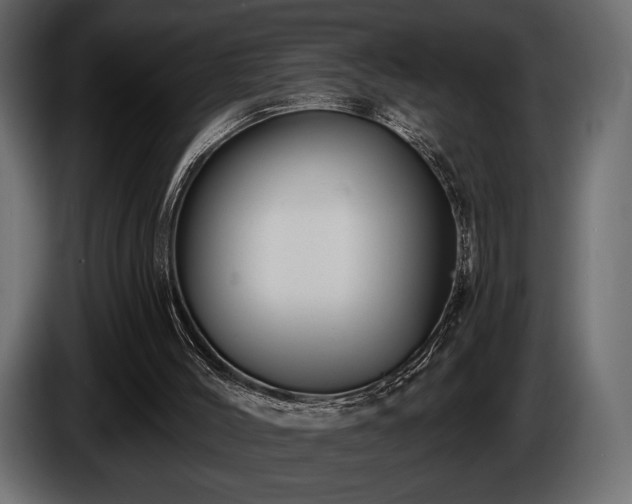 X0000085820004200703231408