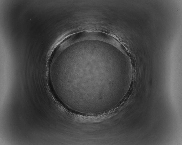X0000085820005200703231408
