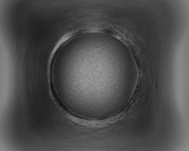X0000085820006200703231408