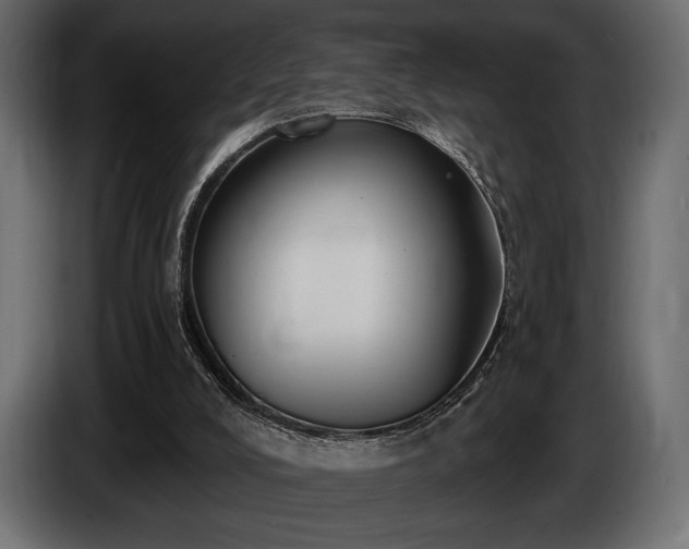 X0000085820008200703231408