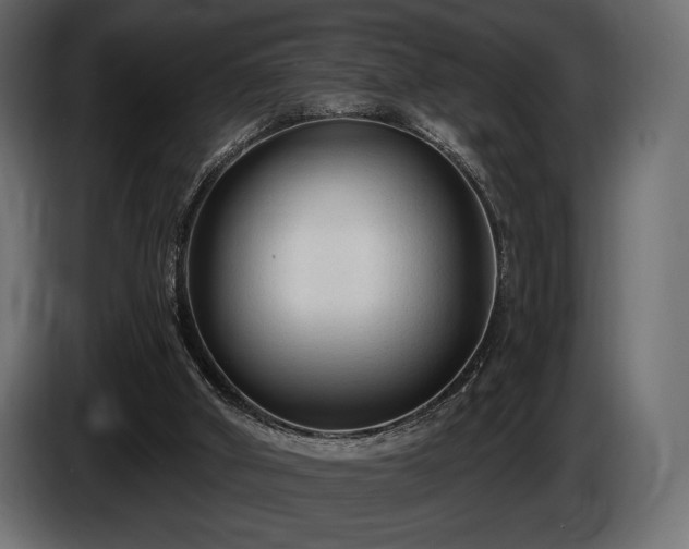 X0000085820010200703231408