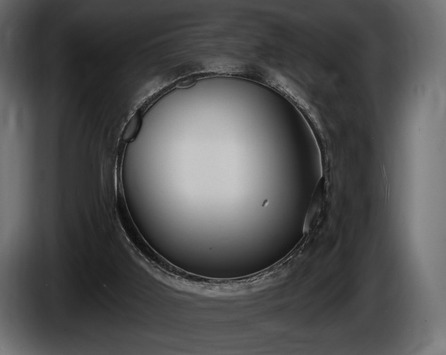 X0000085820011200703231408