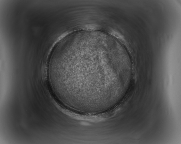 X0000085820012200703231408