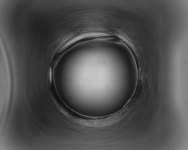 X0000085820013200703231408