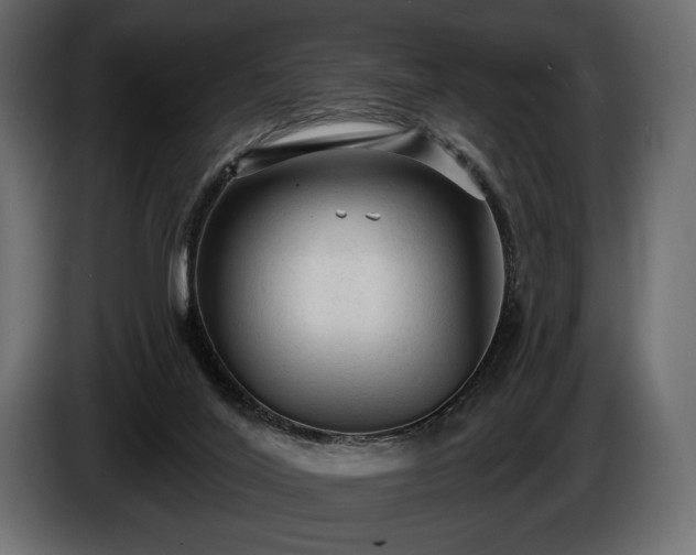 X0000085820020200703231408