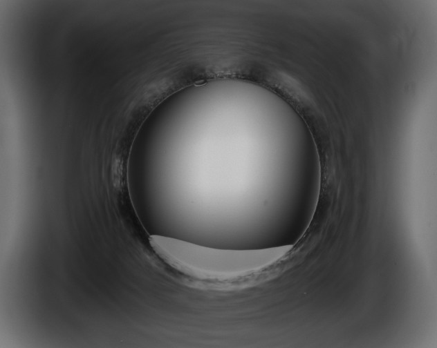 X0000085820025200703231408