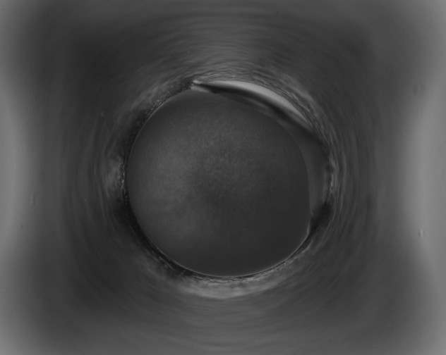 X0000085820029200703231408
