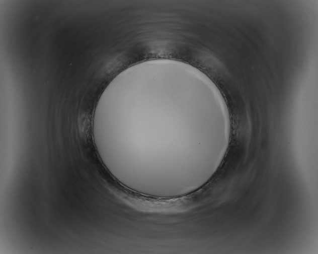 X0000085820036200703231408
