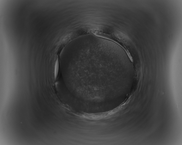 X0000085820041200703231408