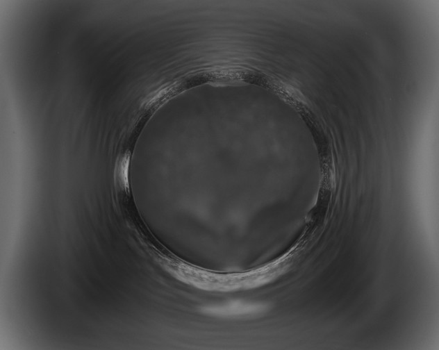 X0000085820047200703231408