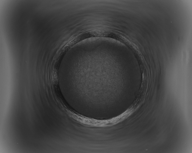 X0000085820048200703231408