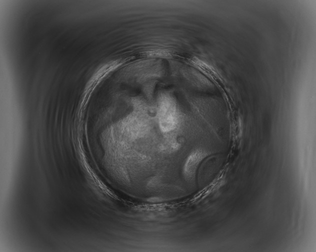 X0000085820049200703231407