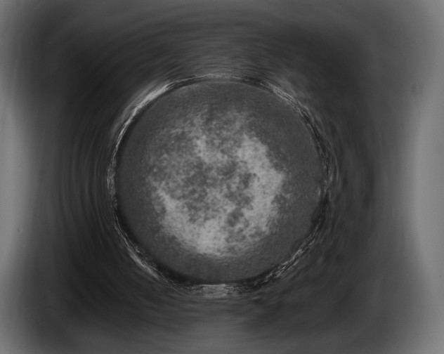 X0000085820050200703231407
