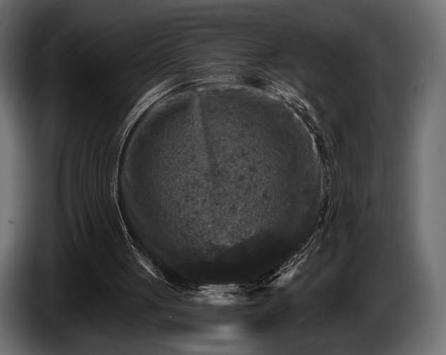X0000085820051200703231407