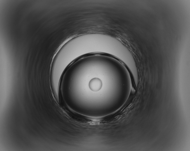 X0000085820052200703231407