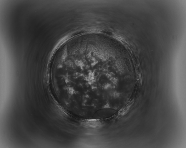 X0000085820053200703231407
