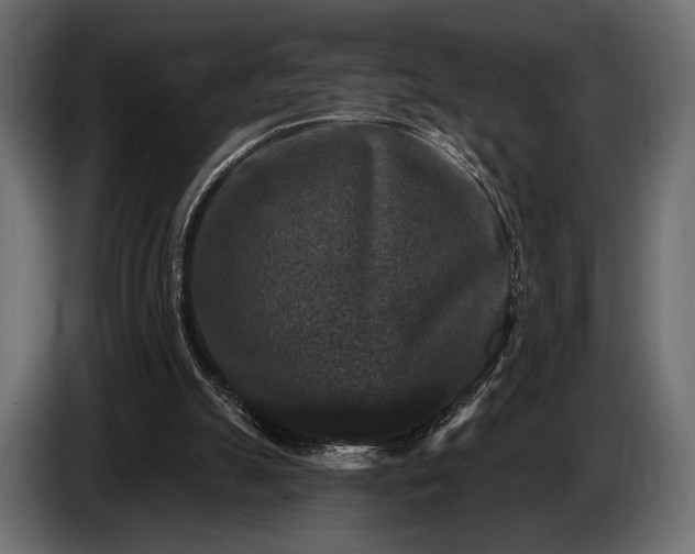 X0000085820055200703231407