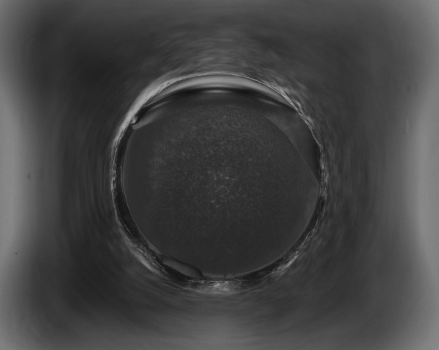 X0000085820056200703231407