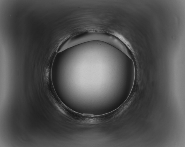 X0000085820057200703231407