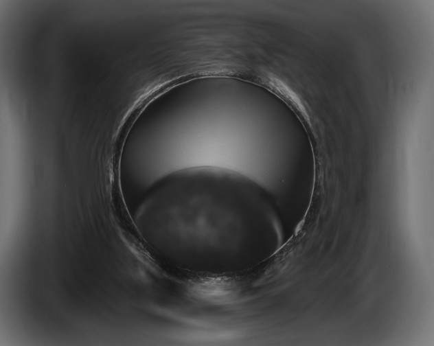 X0000085820059200703231407