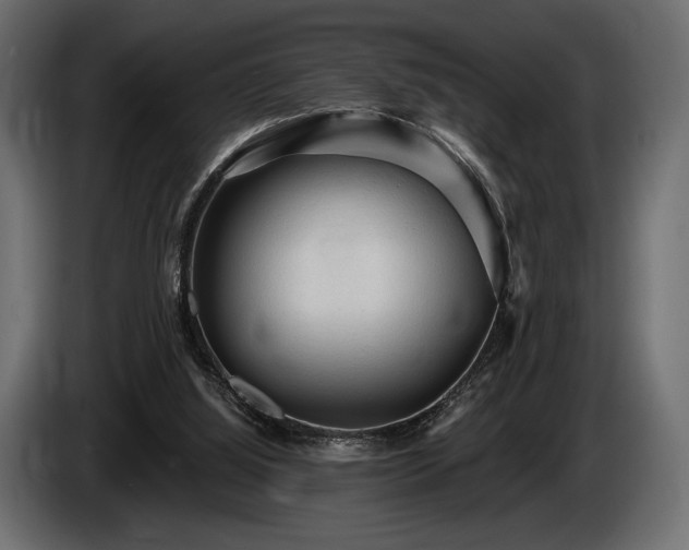 X0000085820060200703231407