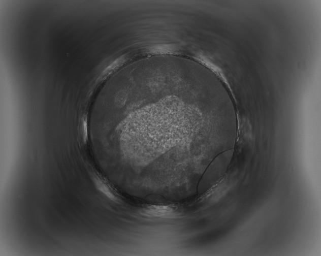 X0000085820061200703231407