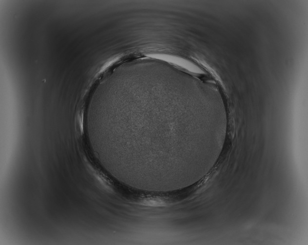 X0000085820062200703231407