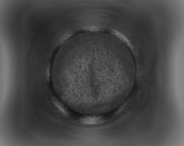 X0000085820065200703231407