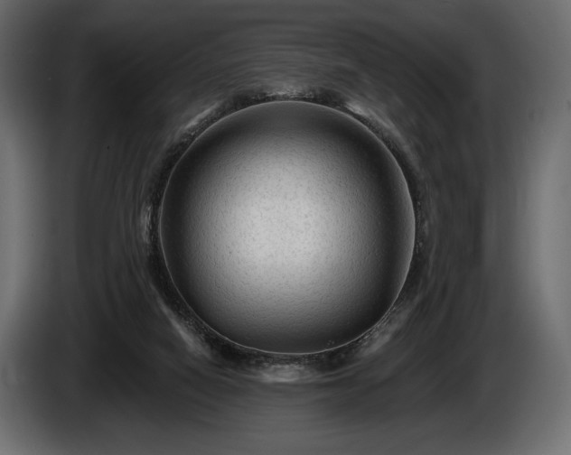 X0000085820066200703231407