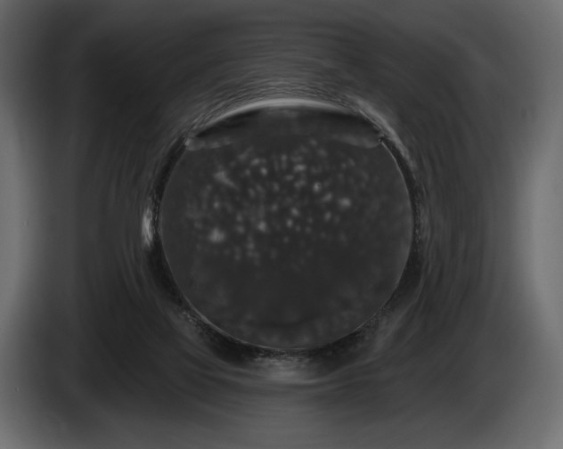 X0000085820069200703231407
