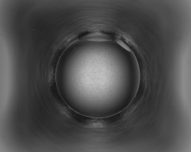 X0000085820073200703231407