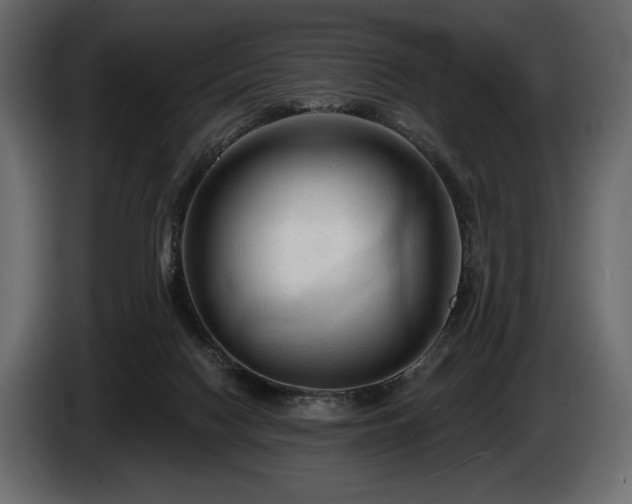 X0000085820074200703231407