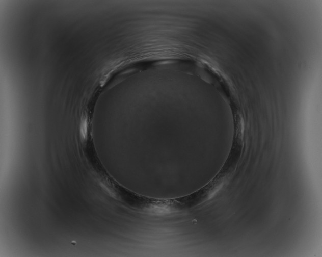 X0000085820076200703231407