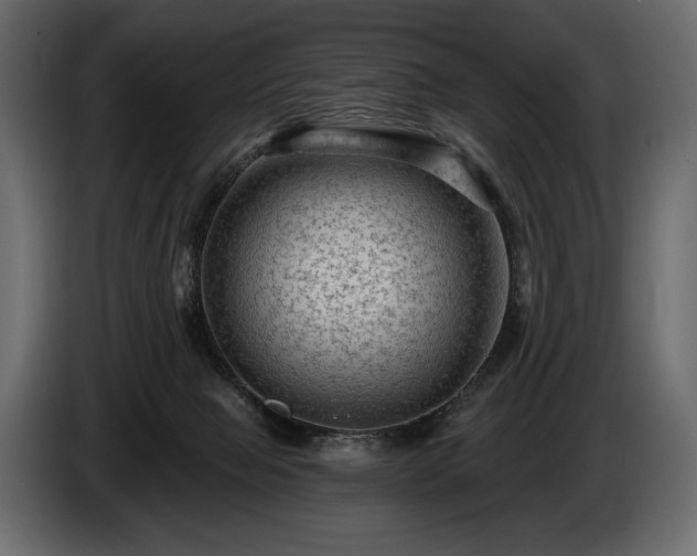X0000085820077200703231407