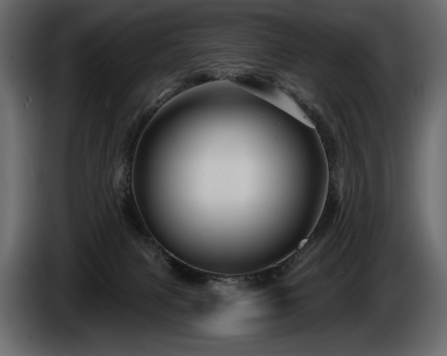X0000085820079200703231407