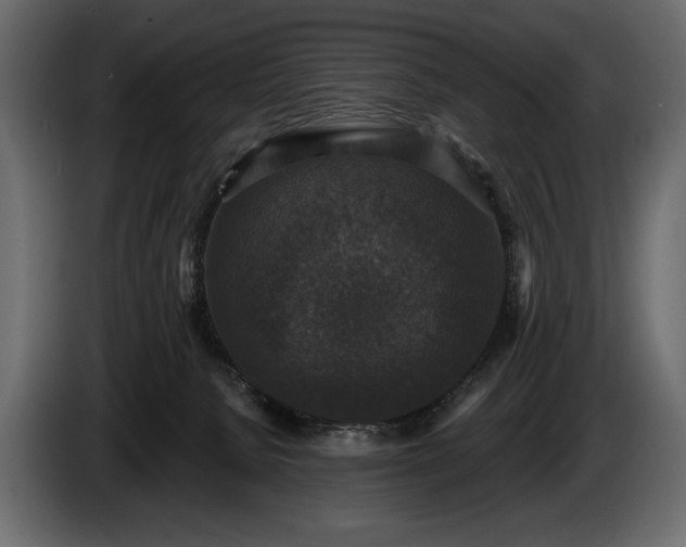 X0000085820080200703231407
