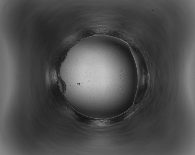 X0000085820089200703231408