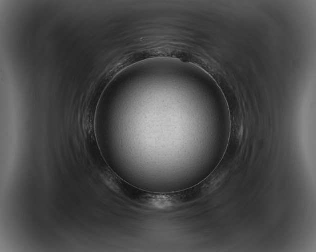 X0000085820091200703231408