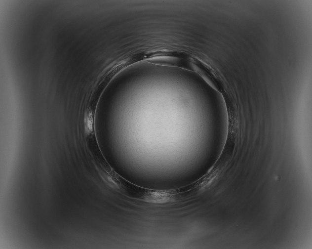 X0000085820095200703231408