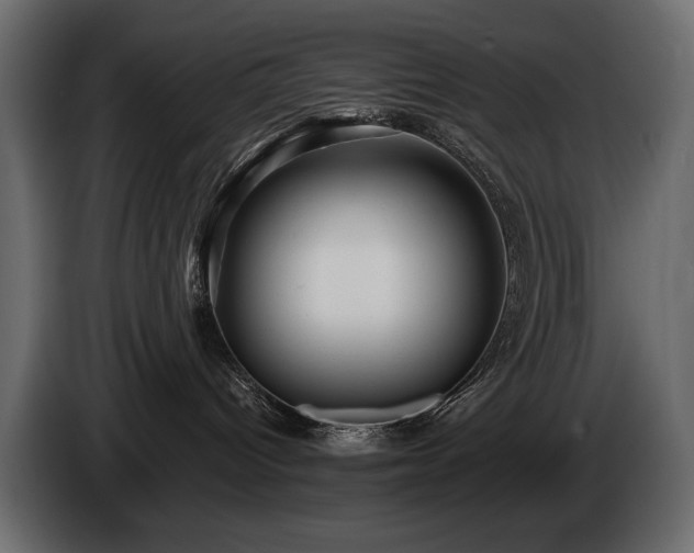 X0000085820096200703231408