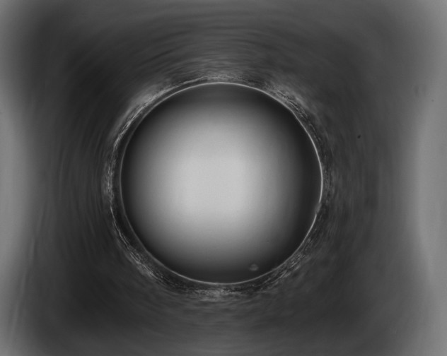X0000085820098200703231407