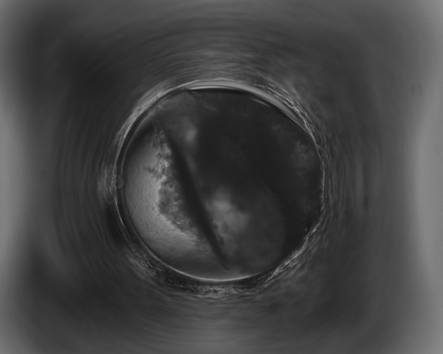 X0000085820099200703231407