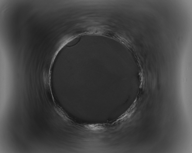 X0000085820100200703231407