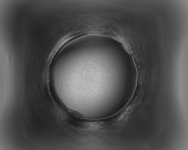 X0000085820103200703231407