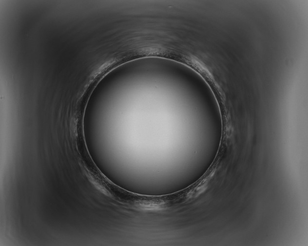X0000085820106200703231407