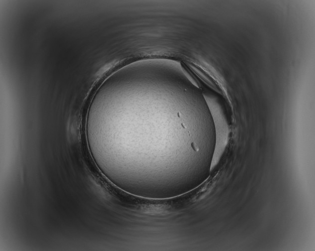 X0000085820107200703231407