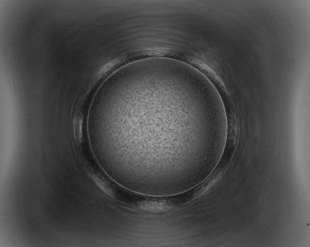 X0000085820110200703231407