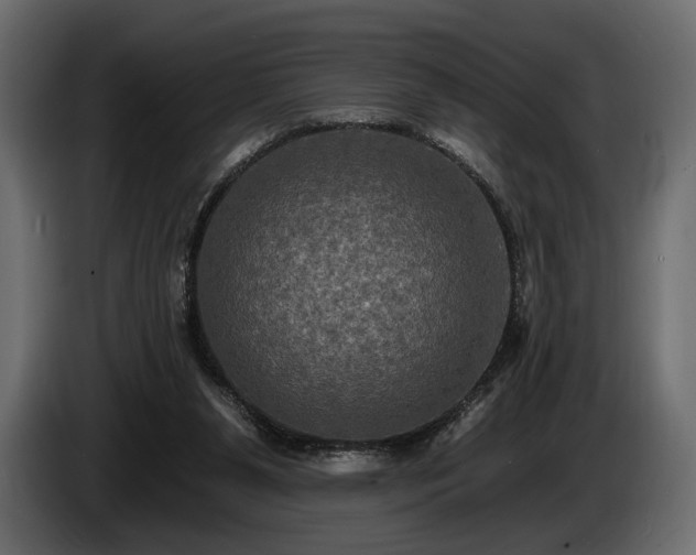 X0000085820111200703231407