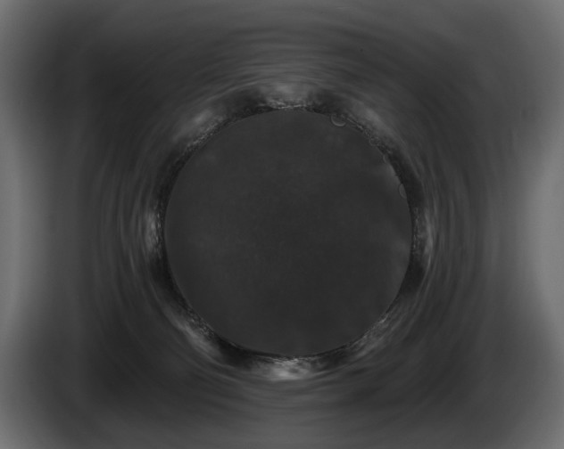 X0000085820130200703231406
